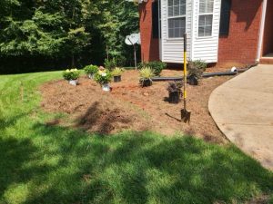 Landscape Solution